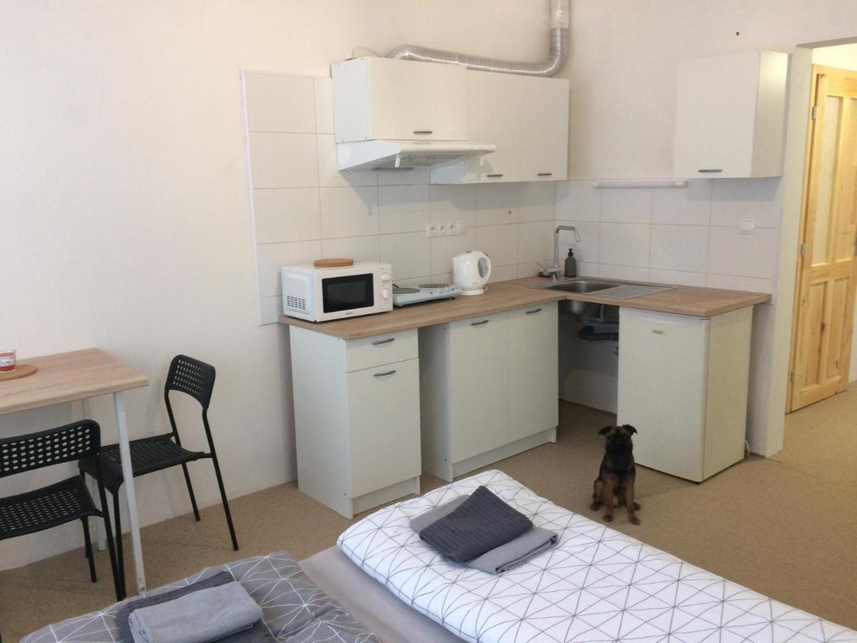 Ubytovani U Brabantika Desná Extérieur photo
